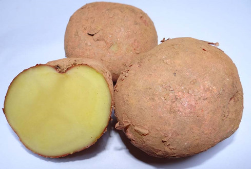 Những thực phẩm tránh hâm lại sau khi đã dùng