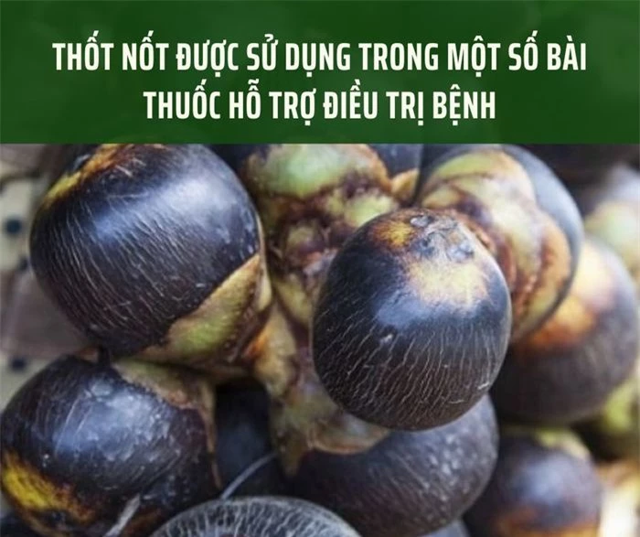 Thốt nốt: Không chỉ giúp giải nhiệt mà còn có nhiều lợi ích đối với sức khỏe - Ảnh 3.