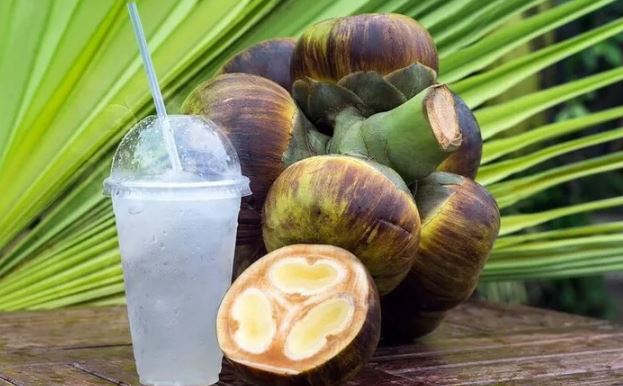 Thốt nốt giúp giải nhiệt và có nhiều lợi ích tốt đối với sức khỏe
