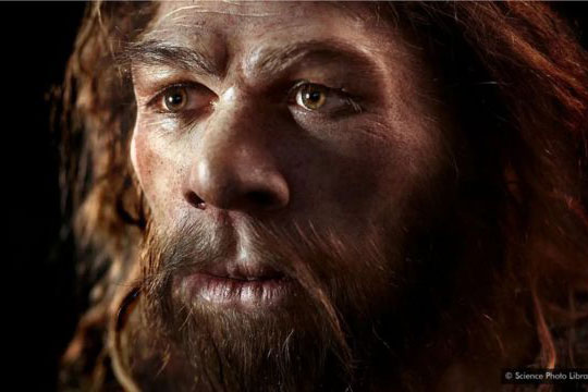 Sốc: Mang nét đẹp này, bạn có thể mang DNA của loài người khác