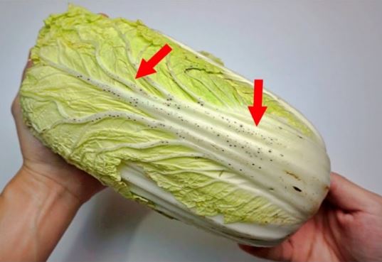 Mua cải thảo chọn cây xanh hay trắng ngon hơn: Người trồng chỉ cách chọn chuẩn, đảm bảo rau tươi sạch