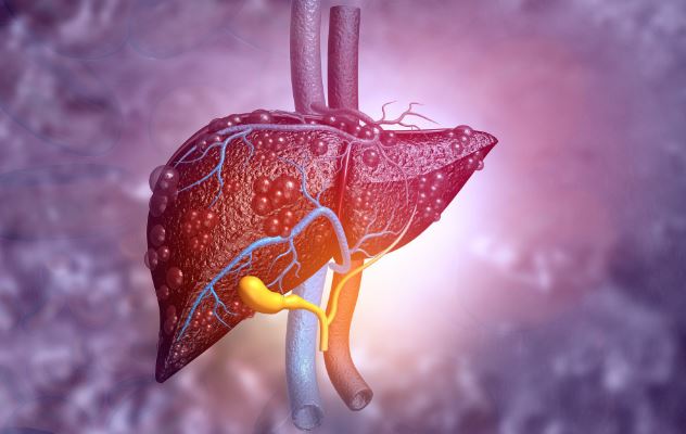 Khi gan suy yếu, cơ thể thường xuất hiện 10 dấu hiệu bất thường, rất dễ bị bỏ qua