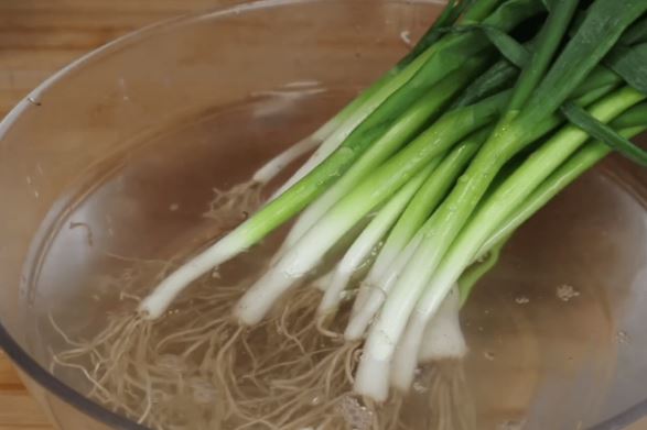 Mẹo bảo quản hành lá không thối hỏng, vàng lá, để cả tháng vẫn tươi rói: Rất đơn giản nhưng chưa nhiều người biết