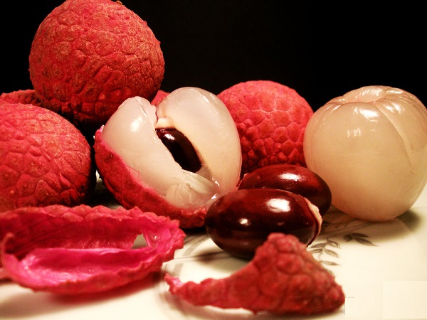 Nh&#x1EEF;ng b&#xE0;i thu&#x1ED1;c c&#x1EF1;c hay t&#x1EEB; qu&#x1EA3; v&#x1EA3;i c&#xF3; th&#x1EC3; b&#x1EA1;n ch&#x1B0;a bi&#x1EBF;t