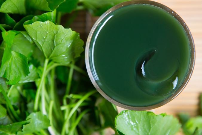 Cách làm đẹp da bằng rau má, vừa giúp thải độc lại chống lão hóa