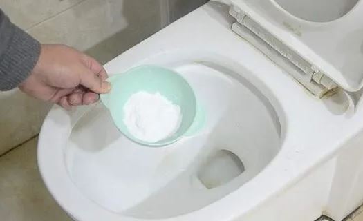 Rắc nắm muối vào bồn cầu, viêc làm đơn giản nhưng tác dụng tuyệt vời, tiết kiệm cả đống tiền