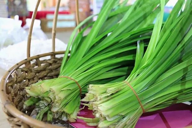 Đặt nắm lá này đặt vào nhà vệ sinh, cả tuần không dọn dẹp phòng vẫn thơm tho