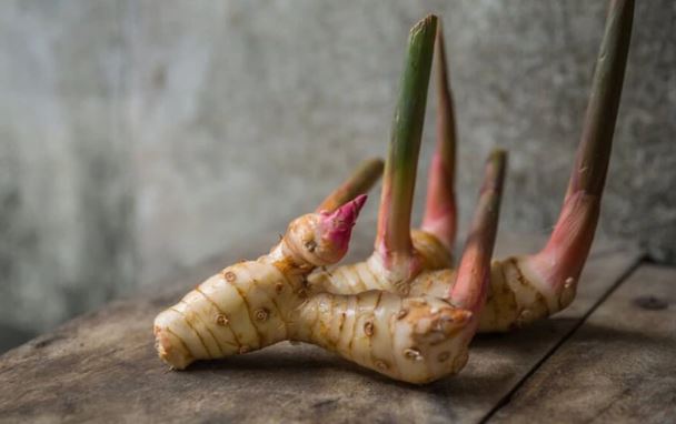 Loại củ có công dụng ngăn ngừa ung thư, khỏe xương khớp