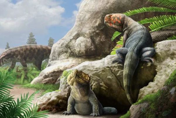 Mỹ: Xuất hiện quái thú 230 triệu tuổi "lai" giữa cá sấu và chim