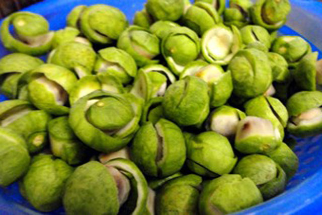 Món ăn với quả sấu có tác dụng thanh nhiệt giải khát