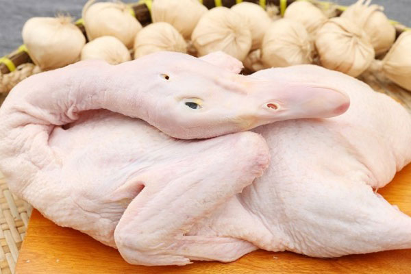 Thịt vịt rất bổ dưỡng: Chọn theo cách này đảm bảo thịt chắc dày, thơm ngon
