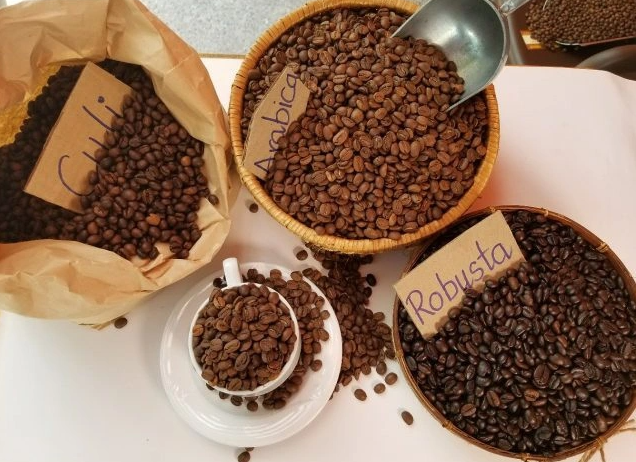 Cà phê Việt chinh phục người tiêu dùng Mỹ