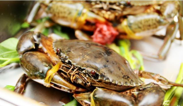 Mách bạn cách chọn mua cua, ghẹ ngon, nhiều thịt, người bán cũng phải khen thông minh