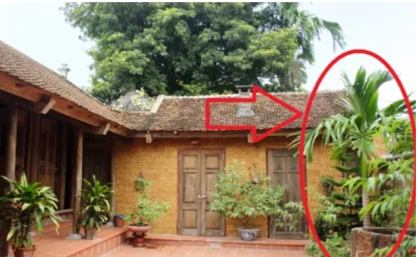 Tổ tiên dặn: “5 loại cây trồng trong dương trạch, không nghèo cũng bại vong”, chặt bỏ sớm đừng tiếc