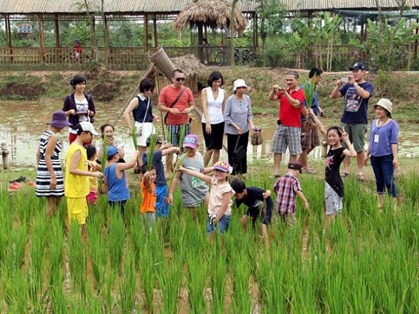 Du lịch nông nghiệp khó hút khách với cách làm cũ