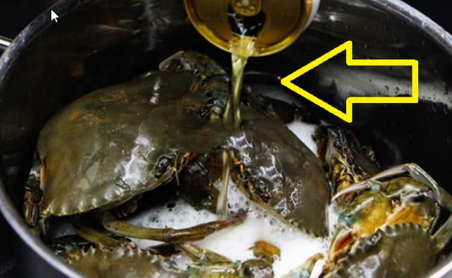 Hấp cua ghẹ đừng dùng nước lã: Đổ thứ này vào nồi mà hấp, không bao giờ lo bị tanh