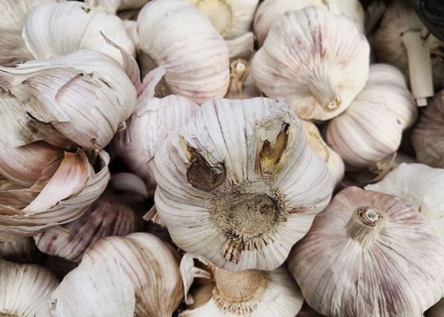Tỏi bán đầy chợ nhưng thấy 4 củ này, có cho không cũng đừng lấy