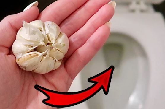 Lấy 1 tép tỏi thả vào bồn cầu: Biết công dụng ai cũng muốn học theo