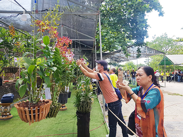 Chưa khai mạc, lễ hội hoa lan Đà Nẵng 2023 đã tấp nập khách tham quan