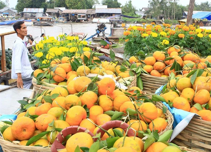 Hàng hóa tập trung ở đây với số lượng lớn. Mỗi mặt hàng đã được phân loại cho đồng đều về chất lượng, kích cỡ. Ảnh: Mekongdeltaexplorer.