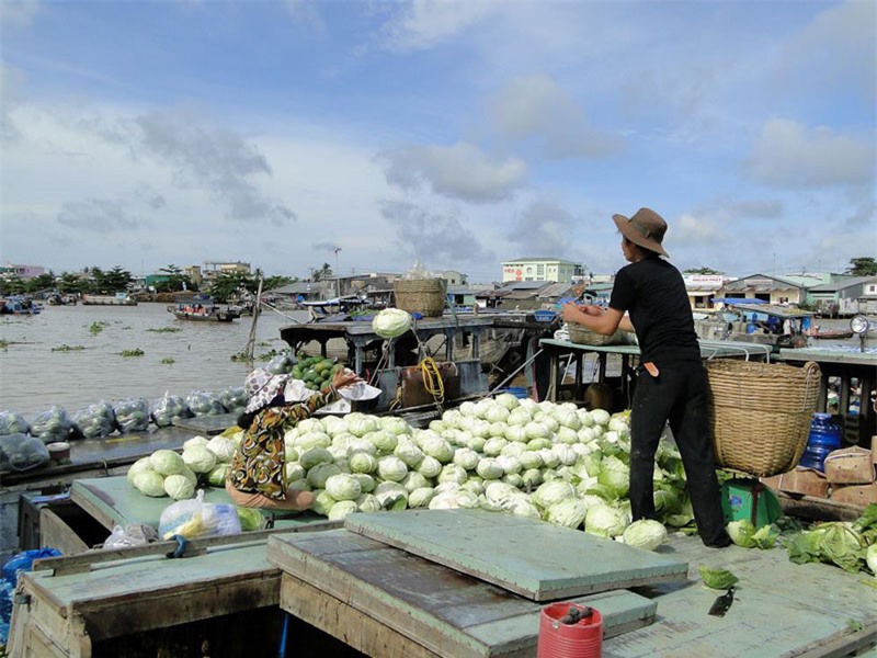 Nếu như dân địa phương và các vùng lân cận thường sử dụng các ghe, xuồng trung bình chở các mặt hàng nông sản đến đây tiêu thụ thì những ghe bầu lớn là của các thương lái thu mua trái cây tỏa đi khắp nơi, sang tận Campuchia và Trung Quốc. Ảnh: Vietravel.