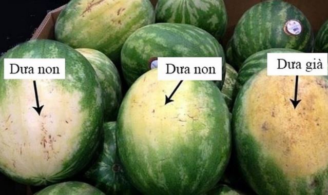 Mua dưa hấu không cần vỗ vỏ: Muốn chọn quả ngọt, vỏ mỏng, ruột đỏ au, cứ nhìn đúng điểm này