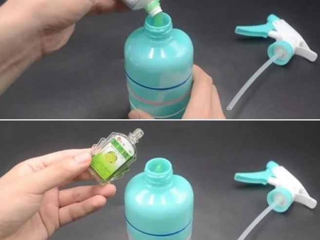 Trộn kem đánh răng với dầu gió: Giải quyết vấn đề nhiều nhà gặp phải, tiết kiệm cả đống tiền