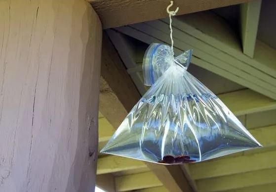 Treo túi nilon đựng nước với vài đồng xu trước cửa, tác dụng khiến nhiều người bất ngờ