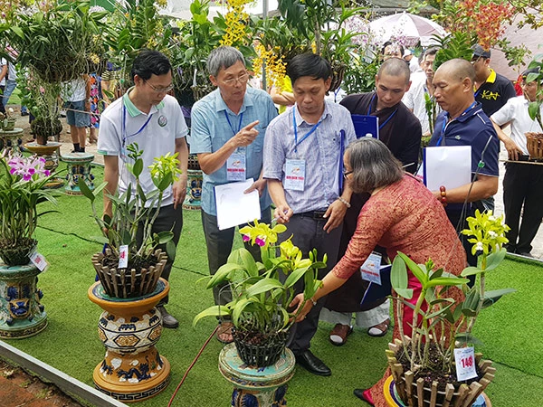 Ban giám khảo cân nhắc rất kỹ khi chấm chọn các tác phẩm tham gia dự thi tại lễ hôi hoa lan Đà Nẵng 2023