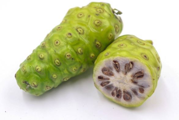 Tác dụng của quả nhàu tươi