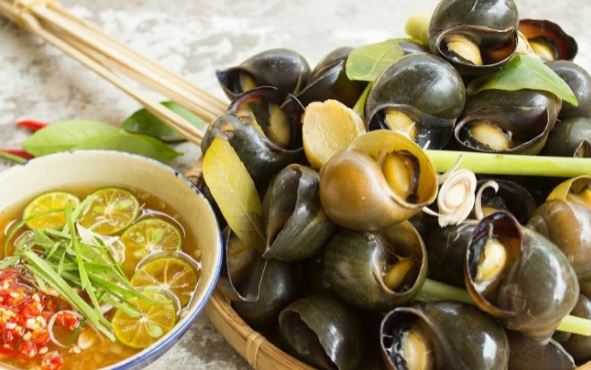 4 nhóm người nên hạn chế ăn ốc để tránh ảnh hưởng đến sức khỏe