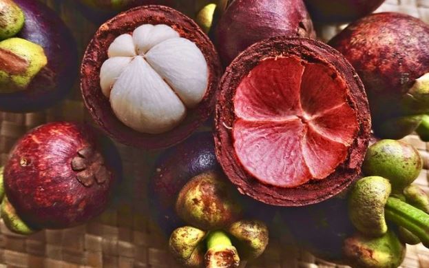 Không chỉ quả, vỏ măng cụt cũng đem lại nhiều lợi ích đối với sức khoẻ