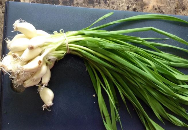 Đi chợ thấy 8 loại rau này nên mua ngay: Vừa bổ vừa sạch, ít bị phun thuốc