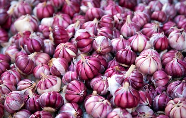 Mẹo bảo quản tỏi vừa để được lâu lại tiện dùng