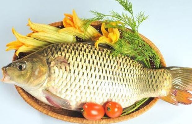 Những ai không nên ăn cá chép?