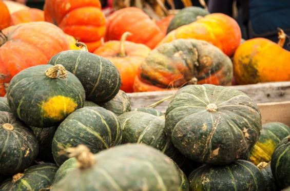 Bí đỏ cắt dở dễ bị thối, cứ xát thứ này lên để cả tháng không hỏng