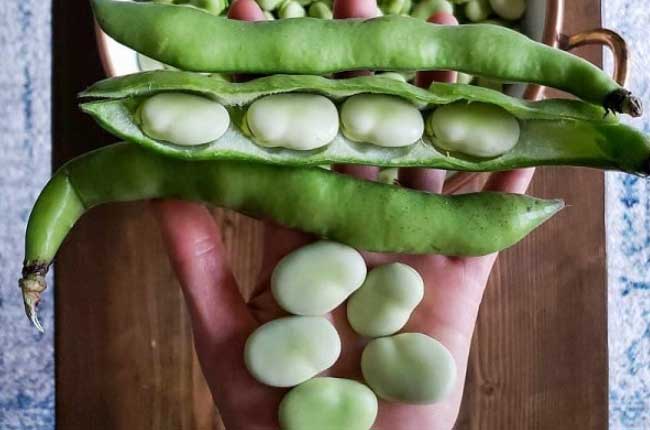 Loại hạt có lượng đạm cao gấp 2 lần trứng, được ví như ‘viên bổ não’, nấu lên ăn ngon hơn thịt