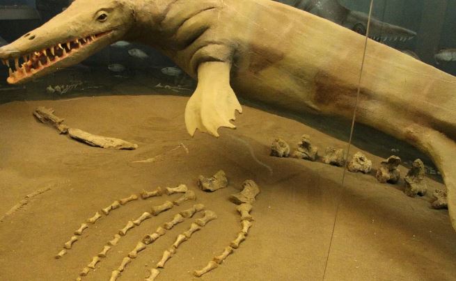 Phát hiện loài vật khổng lồ có răng giống tuốc nơ vít