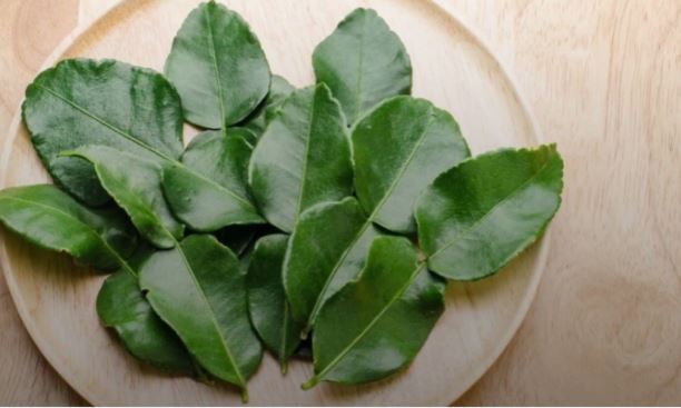 Uống nước lá chanh có tác dụng gì?