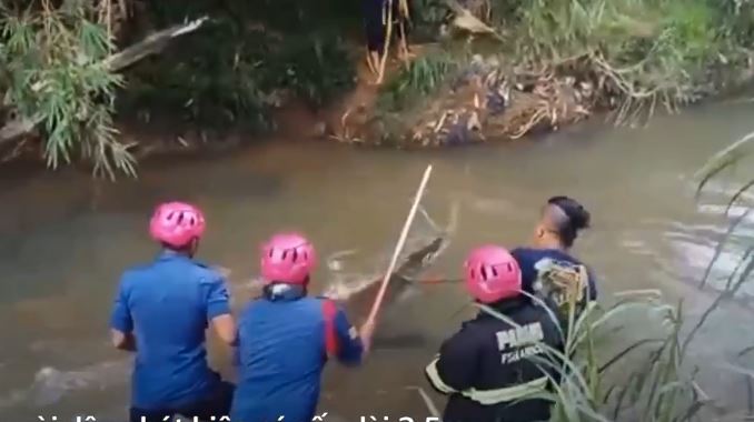 Lính cứu hỏa lao xuống kênh bắt cá sấu
