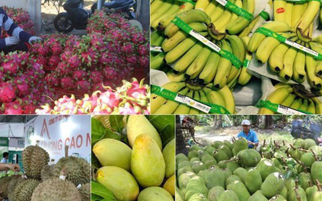 Xuất khẩu nông, lâm, thuỷ sản trong 5 tháng thu về hơn 20 tỷ USD