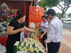 Đặc sắc phiên chợ sản phẩm hợp tác xã lần đầu tổ chức tại Đà Nẵng 