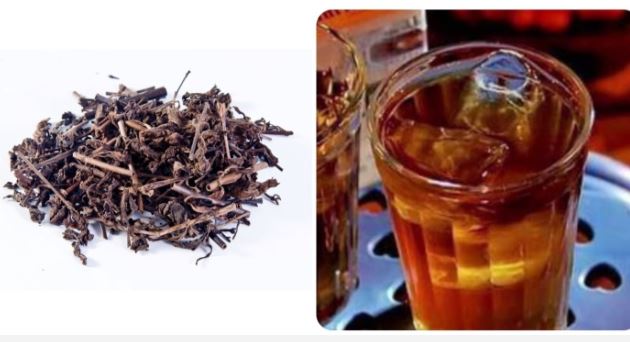 Uống nước nhân trần có tốt không?