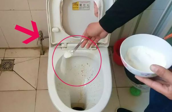 Bỏ 1 tép tỏi vào bồn cầu trước khi đi ngủ, sáng dậy thấy ngay lợi ích tuyệt vời