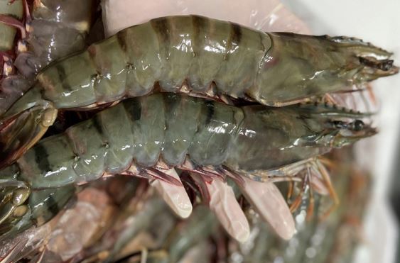 Muốn mua tôm tươi ngon cứ nhớ 5 mẹo này