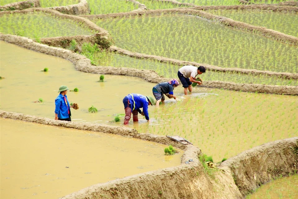 Mặc d&ugrave; c&ocirc;ng việc khai đất, dẫn nước cho ruộng bậc thang nơi đ&acirc;y c&oacute; kh&oacute; khăn hơn, nhưng b&ugrave; lại, ngo&agrave;i những vụ m&ugrave;a bội thu, người d&acirc;n nơi đ&acirc;y c&ograve;n kiến tạo n&ecirc;n kỳ quan thi&ecirc;n nhi&ecirc;n kỳ vĩ, thu h&uacute;t đ&ocirc;ng đảo du kh&aacute;ch đến tham quan