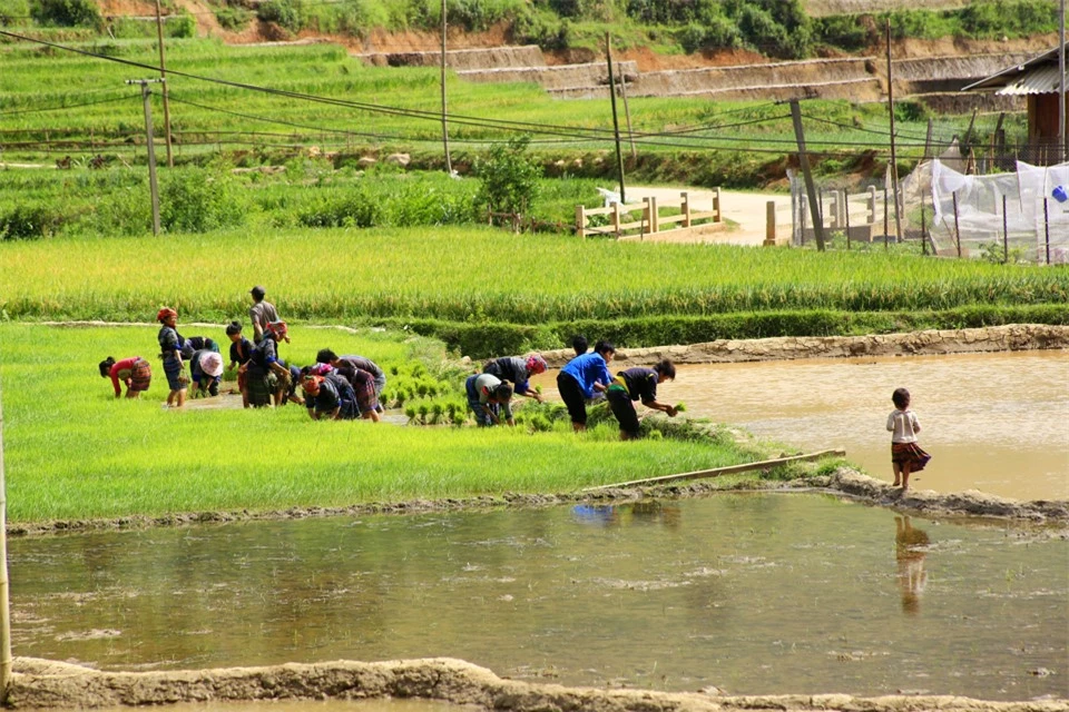 Sản xuất n&ocirc;ng nghiệp của đồng b&agrave;o d&acirc;n tộc v&ugrave;ng cao phụ thuộc rất nhiều v&agrave;o thi&ecirc;n nhi&ecirc;n.