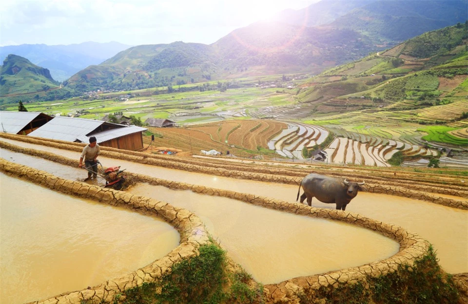 Vẻ đẹp lao động của con người nơi đ&acirc;y trước thi&ecirc;n nhi&ecirc;n h&ugrave;ng vĩ.