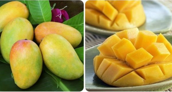 9 lợi ích tuyệt vời của xoài chín với sức khỏe