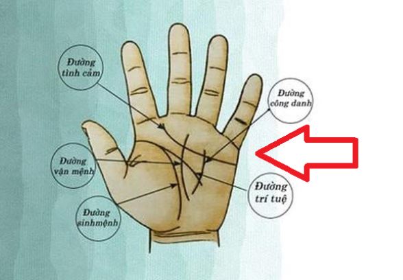 Thần Tài đánh dấu: Lòng bàn tay có 4 điểm này không thành tỷ phú cũng đếm tiền mỏi tay, rất đáng chúc mừng